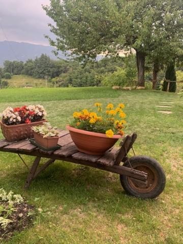 La Corte Di Cesio Monfumo Dış mekan fotoğraf
